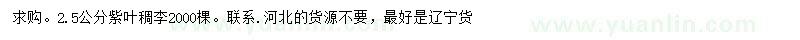 求購2.5公分紫葉稠李