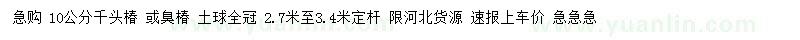 求購10公分千頭椿、臭椿