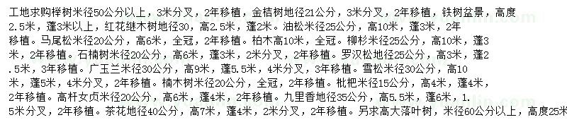 求購櫸樹、金桔樹、鐵樹盆景等