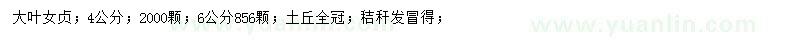 求購4、6公分大葉女貞