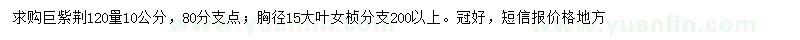 求購120公分處量10公分巨紫荊、胸徑15公分大葉女貞