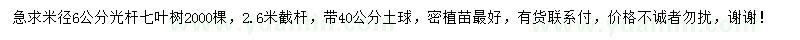 求購米徑6公分七葉樹