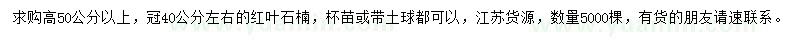 求購(gòu)高50公分以上紅葉石楠小苗