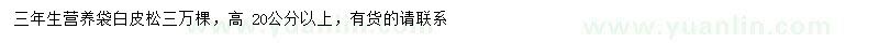 求購高20公分以上白皮松