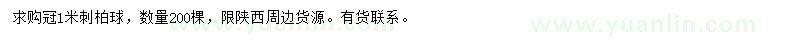 求購冠1米刺柏球