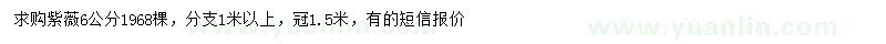 求購6公分紫薇