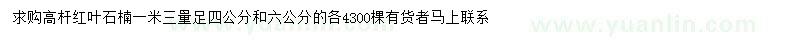 求購(gòu)1.3米處量4、6公分高桿紅葉石楠