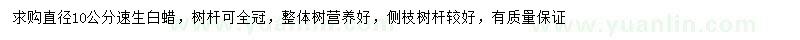 求購10公分速生白蠟