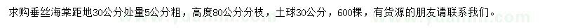 求購5公分垂絲海棠