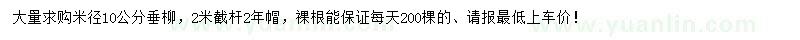求購米徑10公分垂柳