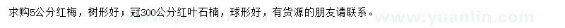 求購5公分紅梅、冠300公分紅葉石楠