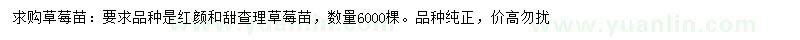 求購紅顏、甜查理草莓苗