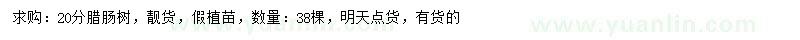 求購20公分臘腸樹