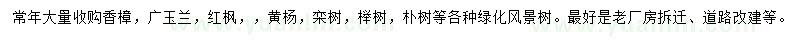 求購(gòu)香樟、廣玉蘭、欒樹等