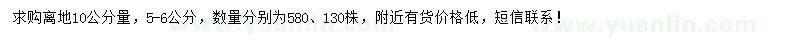 求購(gòu)5-6公分香泡