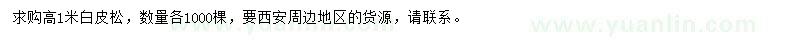求購高1米白皮松