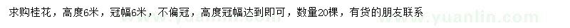 求購高6米桂花