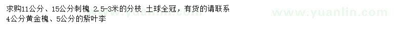 求購刺槐、黃金槐、紫葉李