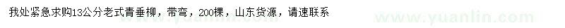 求購13公分垂柳