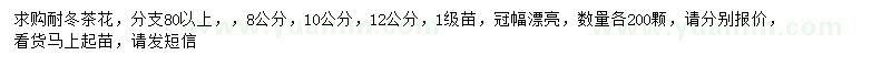 求購8、10、12公分耐冬茶花
