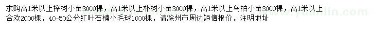 求購櫸樹、樸樹、烏柏等