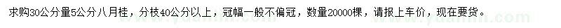 求購(gòu)30公分量5公分八月桂
