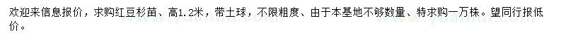 求購高1.2米紅豆杉