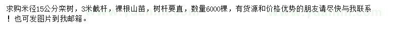 求購米徑15公分欒樹