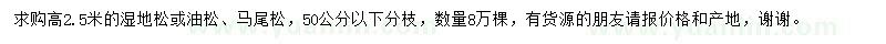 求購(gòu)高2.5米濕地松或油松、馬尾松