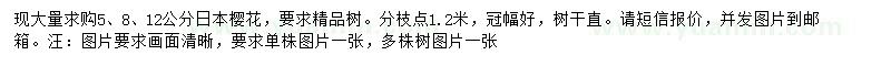 求購5、8、12公分櫻花