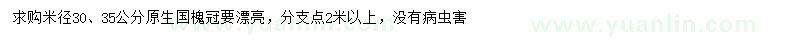 求購(gòu)米徑30、35公分原生國(guó)槐