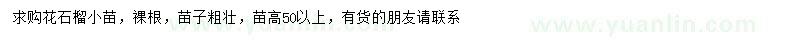 求購(gòu)高50以上花石榴