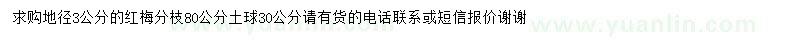 求購地徑3公分紅梅