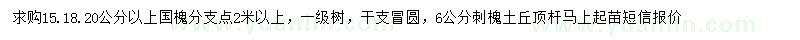求購(gòu)15、18、20公分以上國(guó)槐、6公分刺槐