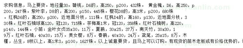 求購碧桃、黃金槐、紫葉李等