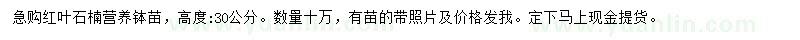 求購(gòu)高30公分紅葉石楠小苗