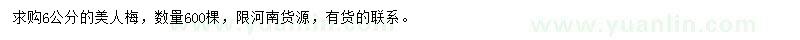 求購6公分美人梅