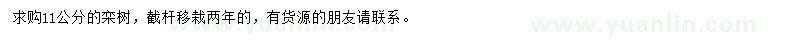 求購11公分欒樹