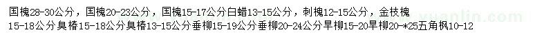 求購國槐、白蠟、刺槐等