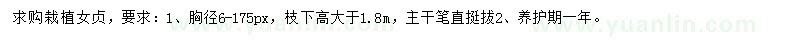 求購女貞