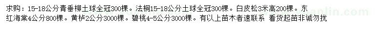 求購(gòu)青垂柳、法桐、白皮松等