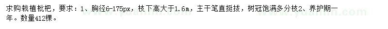 求購枇杷樹
