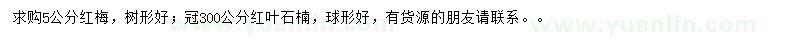 求購5公分紅梅、冠300公分紅葉石楠