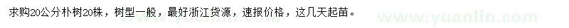求購(gòu)20公分樸樹(shù)