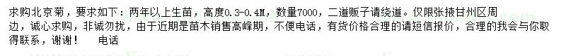 求購高0.3-0.4米北京菊