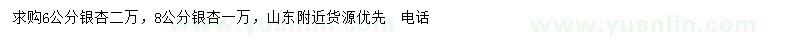 求購6、8公分銀杏