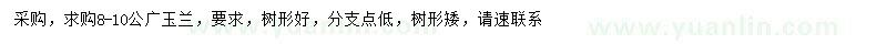 求購8-10公分廣玉蘭