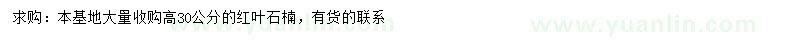 求購高30公分紅葉石楠