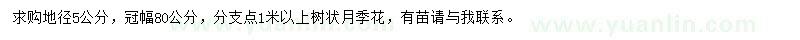 求購(gòu)地徑5公分樹(shù)狀月季花