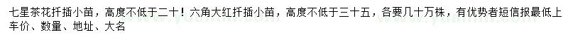 求購高27公分以上星茶花、35公分以上六角大紅小苗